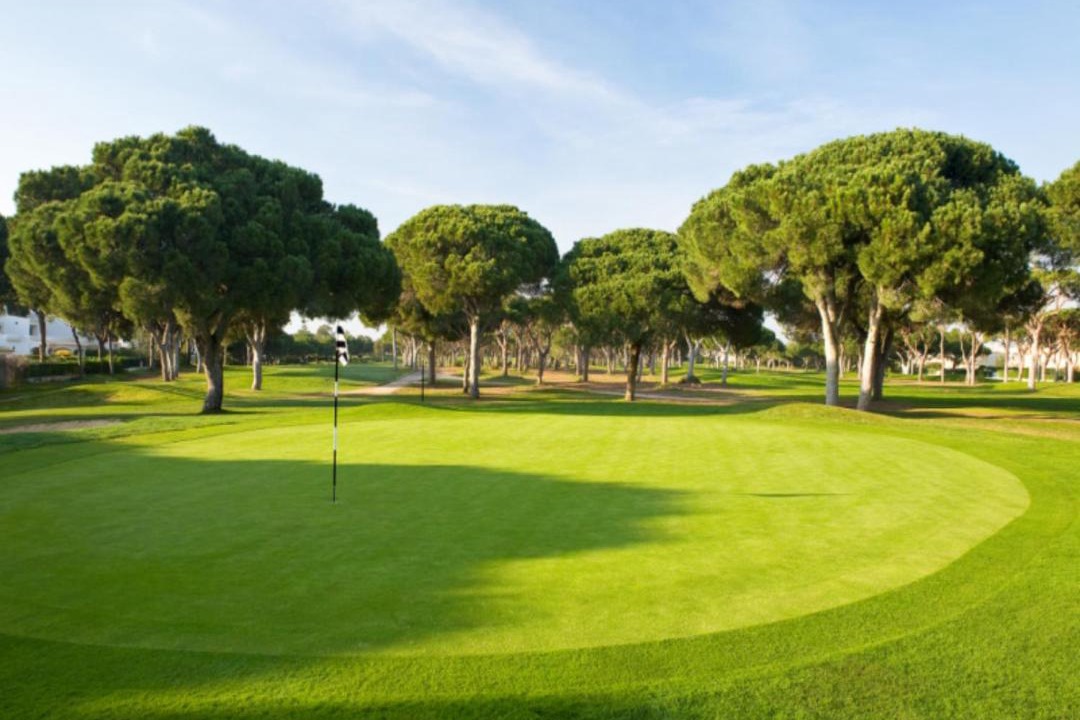 Photo of Others in Vilamoura