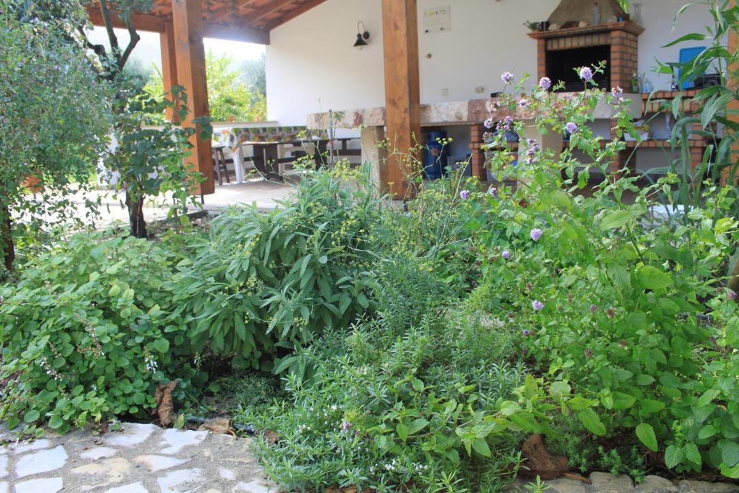 Photo of Others in Camparca