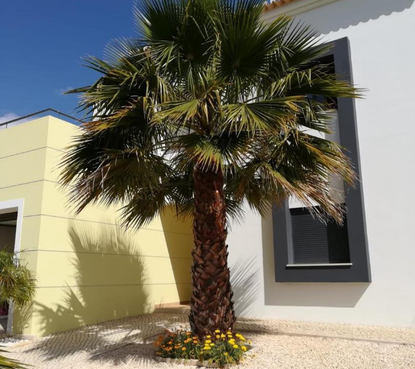 Photo of Buildings in Alcalar