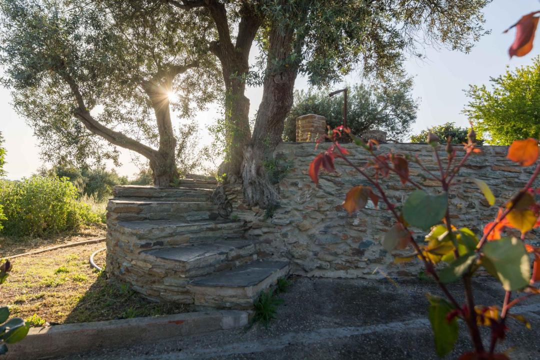 Photo of Others in Monsaraz
