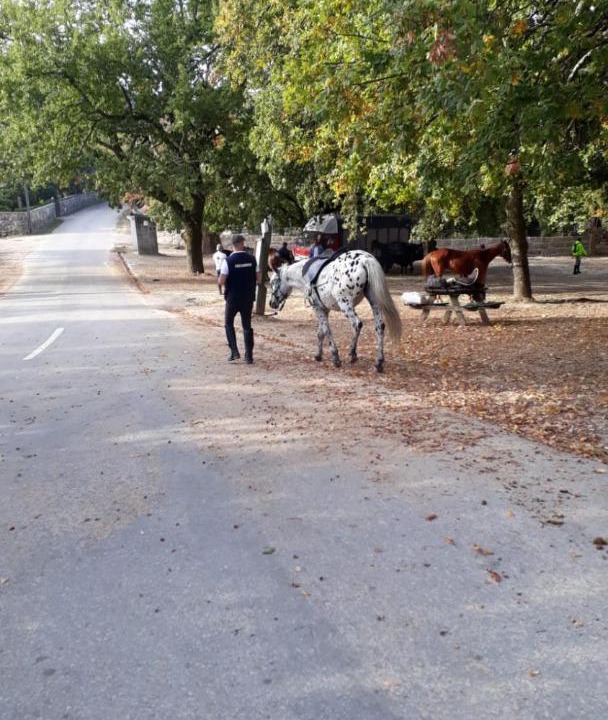Photo of Others in Cabril