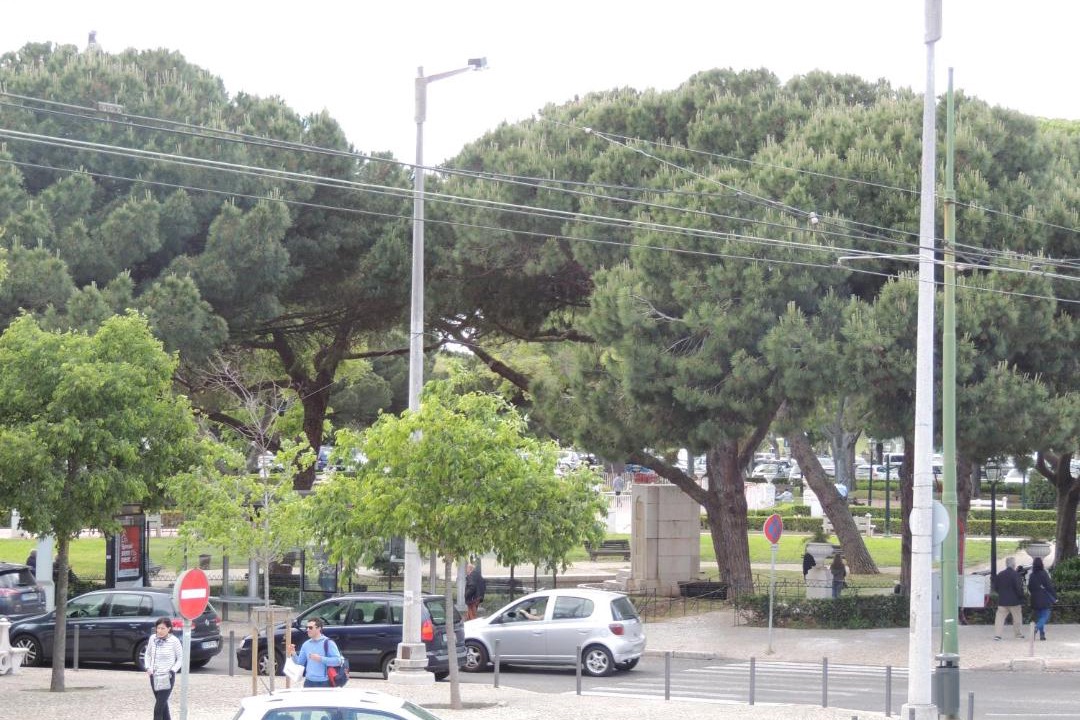 Photo of Others in Belem