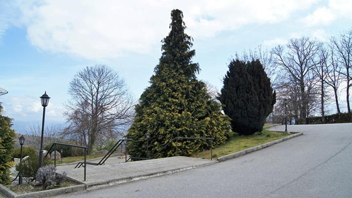 Photo of Others in Lamego