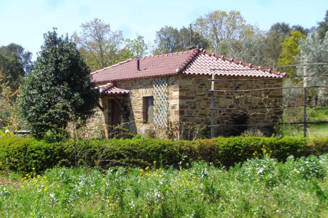 Photo of Others in Pedrogao Grande