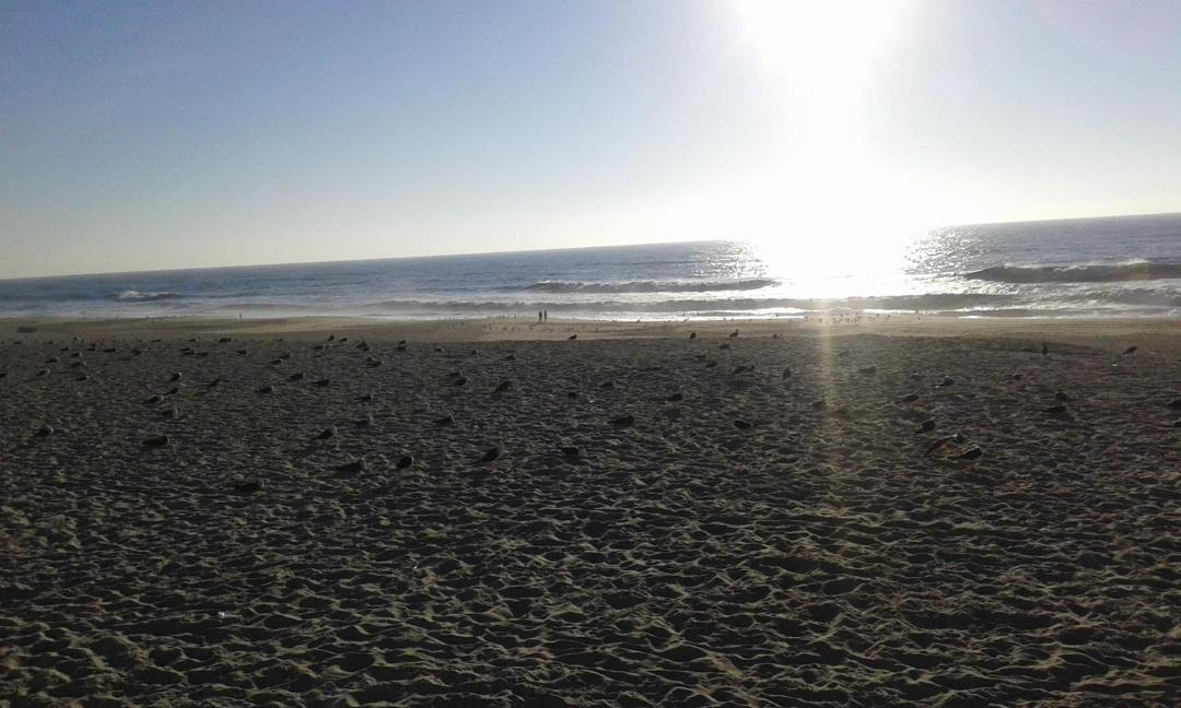 Photo of Others in Praia de Mira