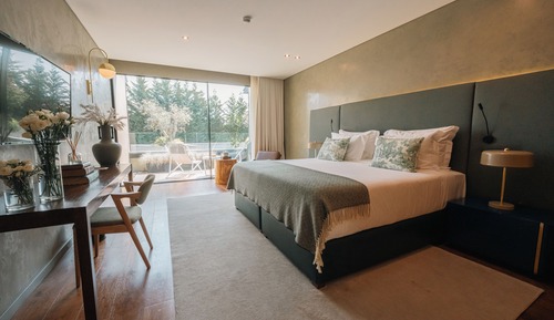 Deluxe Double or Twin Room