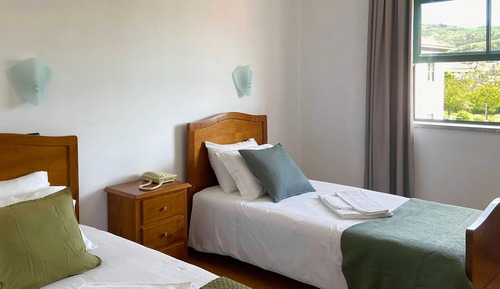 Panoramic Twin Room