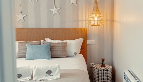Basic Apartment