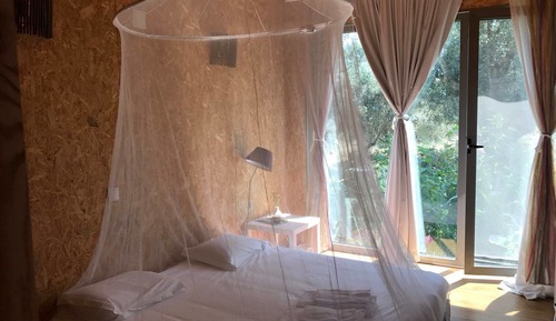 Standard Double or Twin Room (Orange Room)
