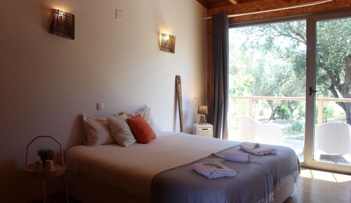 Standard Double or Twin Room (Purple Room)