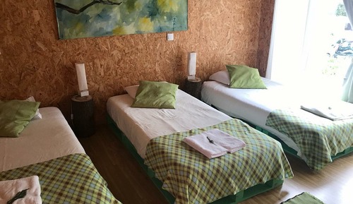 Basic Double or Twin Room (Green Room)