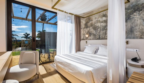 Superior Double or Twin Room with Terrace and Pool View