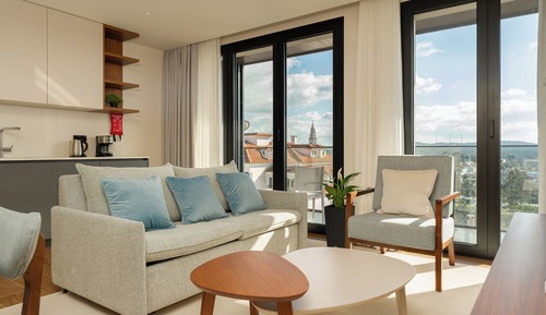 Deluxe Apartment, City View