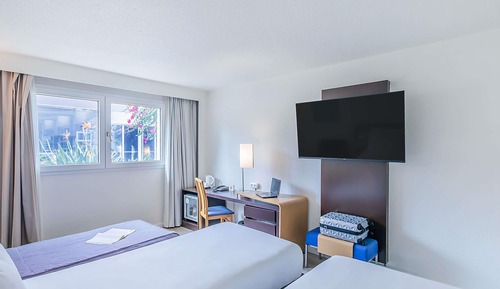 Accessible Standard Room, 2 Single Beds and 1 Sofa Bed