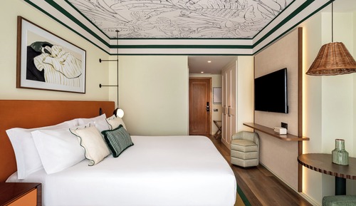 Room, 1 King Bed (Essential)