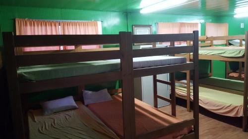 Bunk Bed in Mixed Dormitory Room