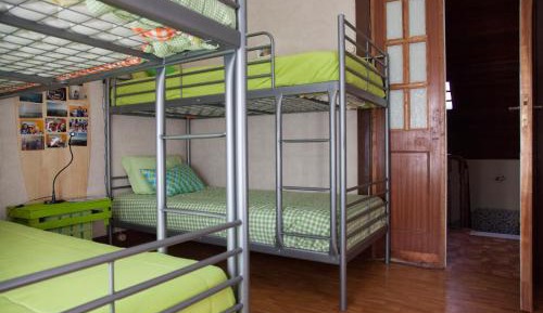 Bunk Bed in Mixed Dormitory Room