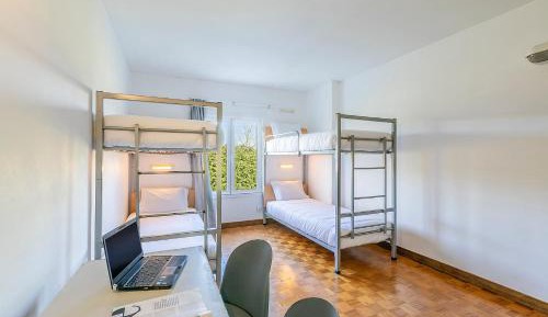 Bunk Bed in Male Dormitory Room 