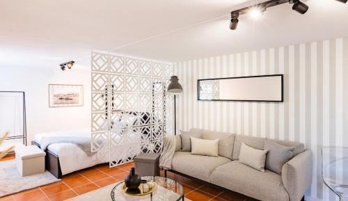 Studio with Terrace