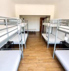 Bunk Bed in Mixed Dormitory Room