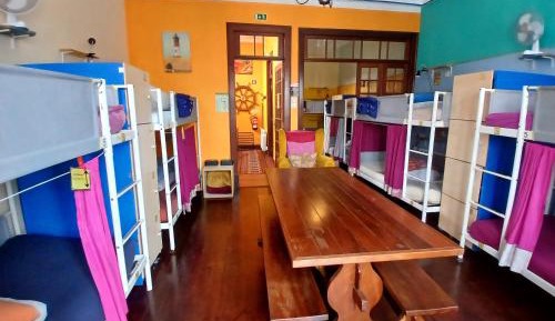 Bunk Bed in Mixed Dormitory Room