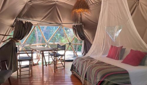 Double Willow Tree Domo Tent
