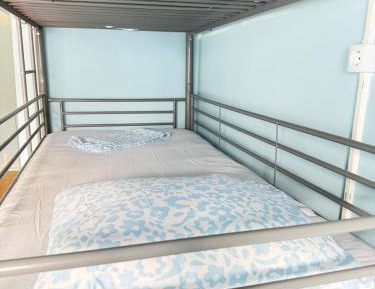 Single Bed in Mixed Dormitory Room