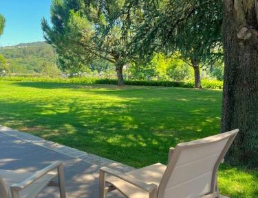 Double Room with Patio