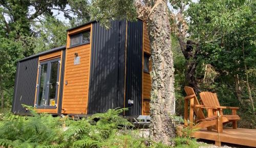 Mobile Home