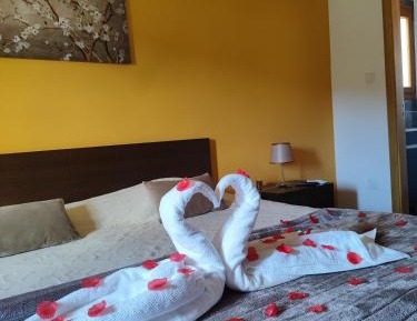 Superior Double or Twin Room with Mountain View