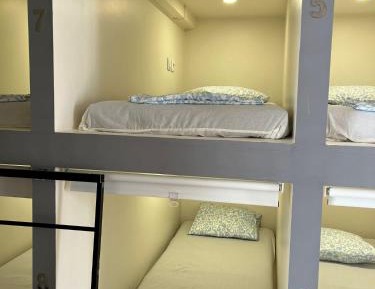 Bunk Bed in Mixed Dormitory Room