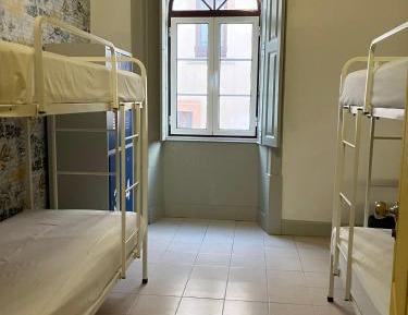 Single Bed in 4-Bed Dormitory Room