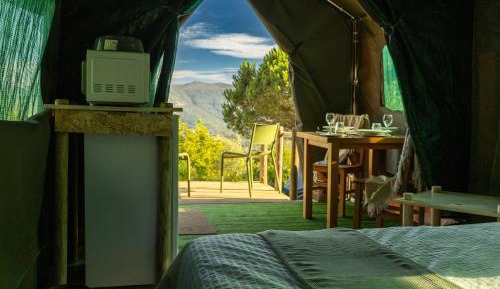 Tent