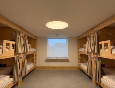 Bed in 8-Bed Mixed Dormitory Room