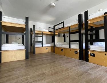 Single Bed in 8-Bed Dormitory Room