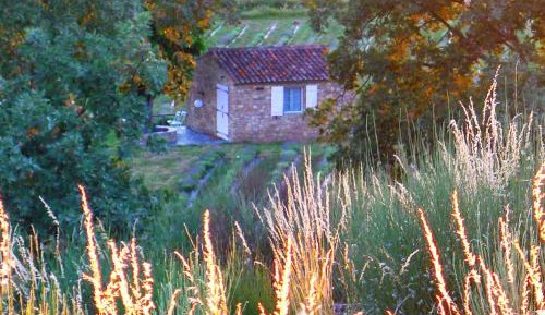 Studio - Annex