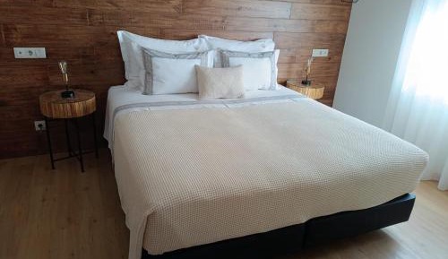 Superior Deluxe Double or Twin Room 