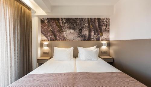 Superior Twin Room with City View
