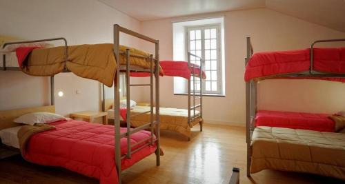 Bed in 14-Bed Mixed Dormitory Room