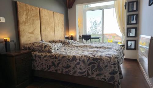 Deluxe Double or Twin Room with Sea View