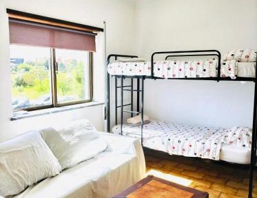 Single Bed in 6-Bed Dormitory Room