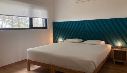 Double or Twin Room with Shared Bathroom