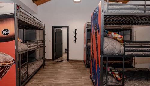 Bunk Bed in Mixed Dormitory Room