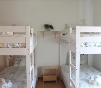 Single Bed in Mixed Dormitory Room
