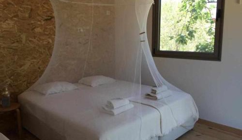 Suite with Garden View