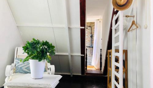 Standard Studio