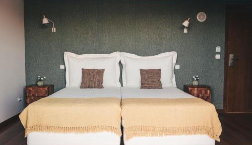 Deluxe Double or Twin Room with Mountain View