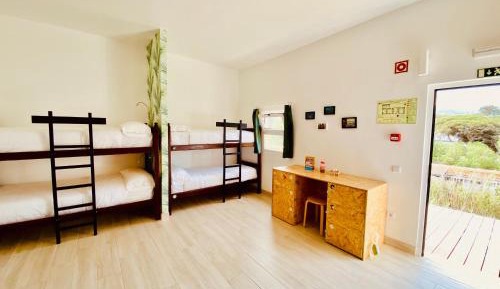 Bed in 8-Bed Mixed Dormitory Room