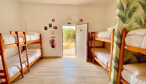 Bed in 6-Bed Dormitory Room