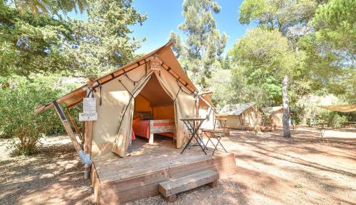 Twin Woody Tent